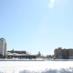 2010-02-12 (085)